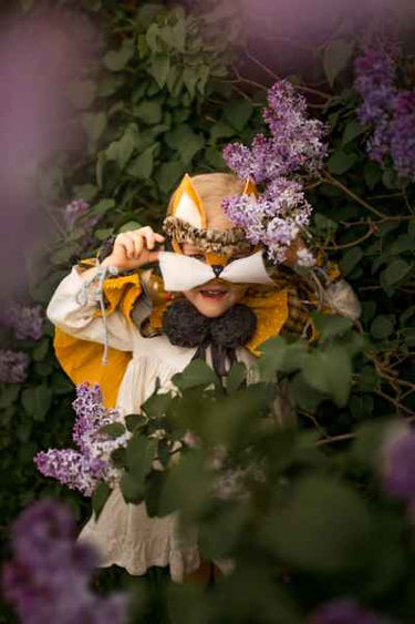 Fox Mask